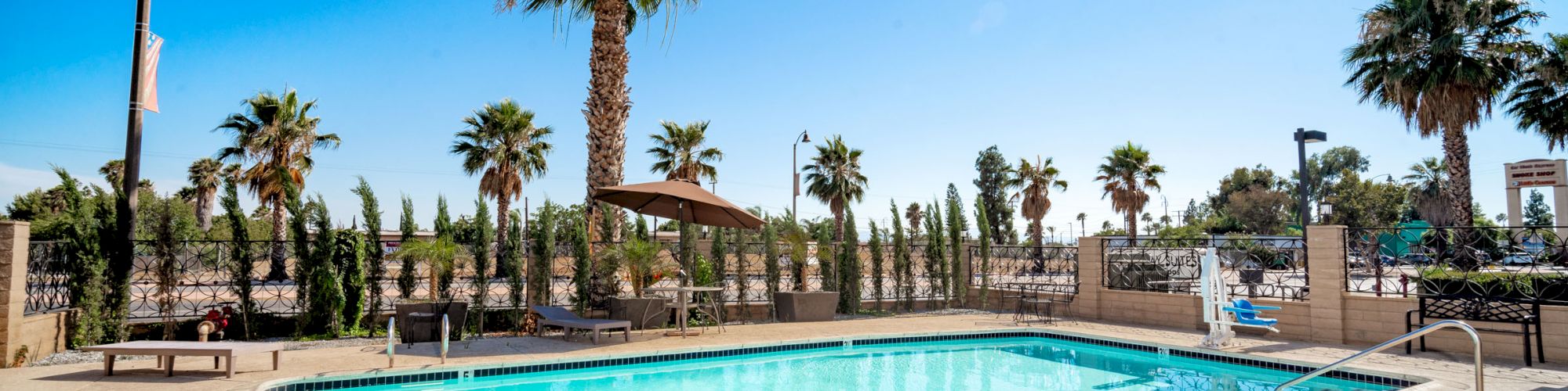 This image shows a swimming pool surrounded by palm trees and lounge chairs under a clear blue sky.