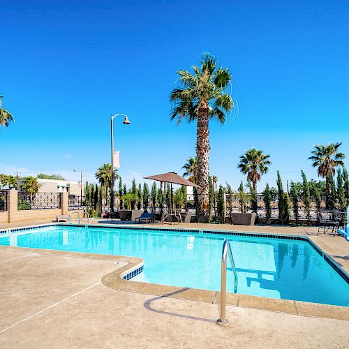 The image shows an outdoor swimming pool surrounded by palm trees with a clear blue sky, featuring deck chairs, an umbrella, and a pool lift.