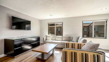 A modern living room with a sofa, a striped armchair, a wooden coffee table, a TV on a stand, and two windows letting in natural light.