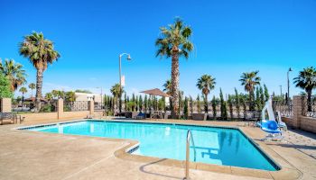 An outdoor swimming pool surrounded by palm trees, with a sunshade, chairs, and a pool lift on a sunny day.